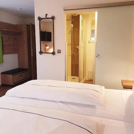 Guest house Gasthof Zum Schwan Steinsfeld